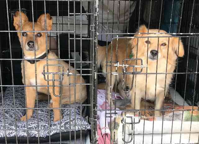 Julio & Molly waiting to start her journey from Benalmádena in S.Spain to Whitley Bay in N.E.England.